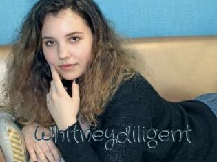 whitneydiligent Sexcam Livesex