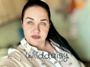 Wilddaisy