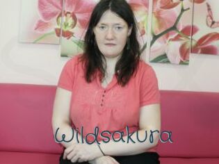 Wildsakura