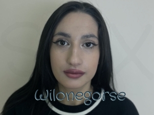 Wilonegorse