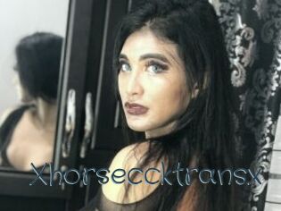 Xhorseccktransx