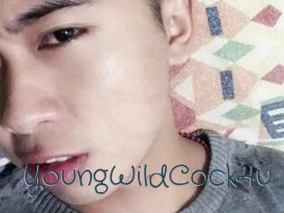 YoungWildCock4u