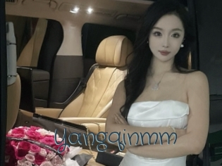 Yangqinmm