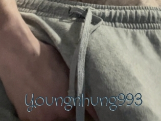 youngnhung993 Sexcam Livesex