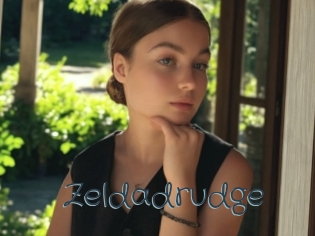 Zeldadrudge