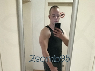 Zsomb95